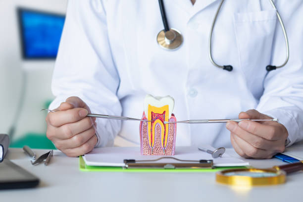 Best Same-Day Emergency Dental Services in De Motte, IN
